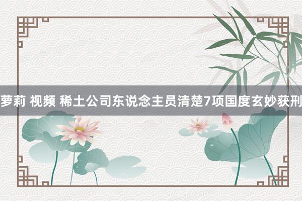 萝莉 视频 稀土公司东说念主员清楚7项国度玄妙获刑