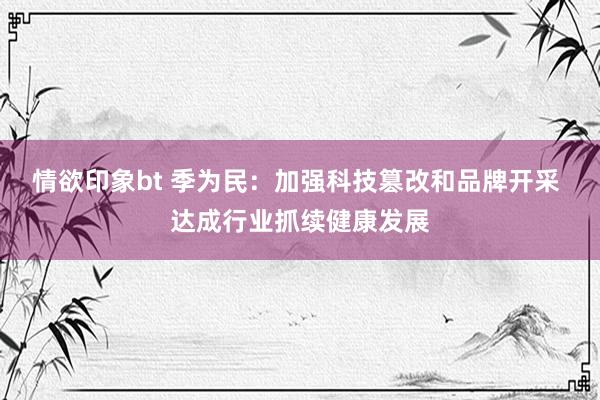 情欲印象bt 季为民：加强科技篡改和品牌开采 达成行业抓续健康发展