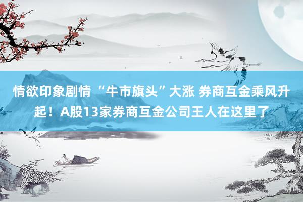 情欲印象剧情 “牛市旗头”大涨 券商互金乘风升起！A股13家券商互金公司王人在这里了
