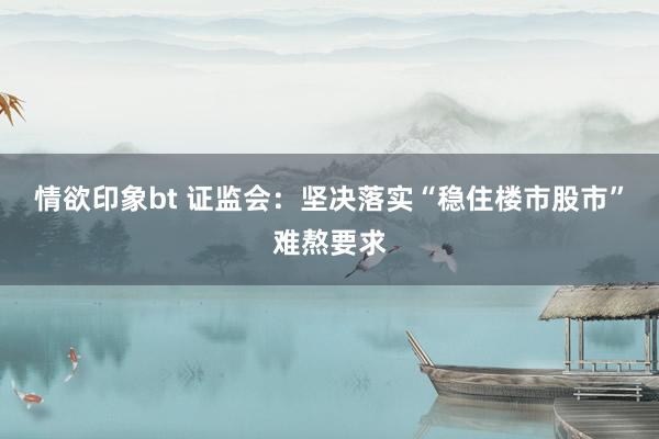 情欲印象bt 证监会：坚决落实“稳住楼市股市”难熬要求