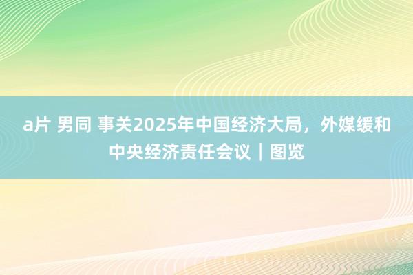 a片 男同 事关2025年中国经济大局，外媒缓和中央经济责任会议｜图览