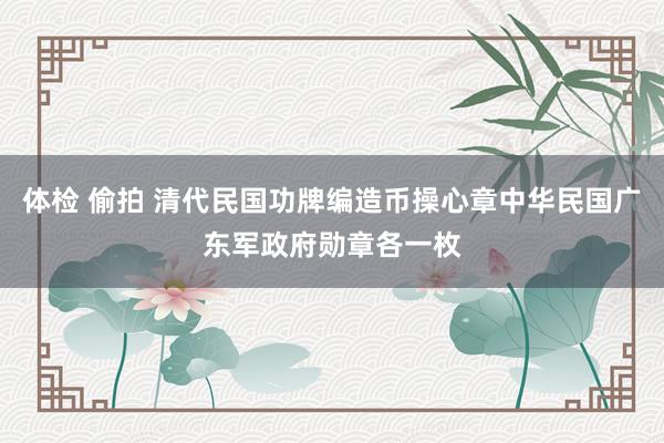 体检 偷拍 清代民国功牌编造币操心章中华民国广东军政府勋章各一枚