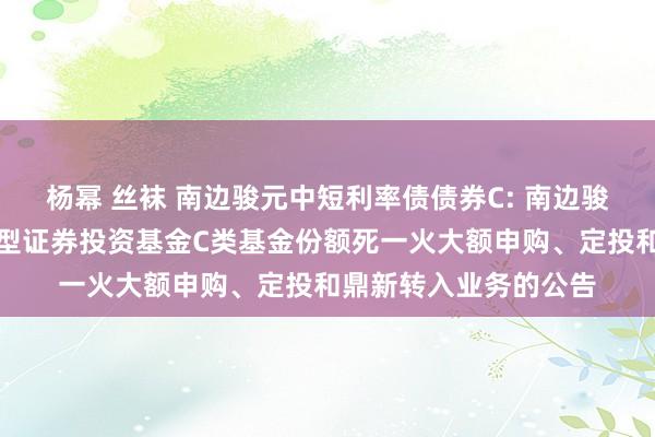 杨幂 丝袜 南边骏元中短利率债债券C: 南边骏元中短期利率债债券型证券投资基金C类基金份额死一火大额申购、定投和鼎新转入业务的公告