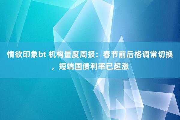 情欲印象bt 机构量度周报：春节前后格调常切换，短端国债利率已超涨