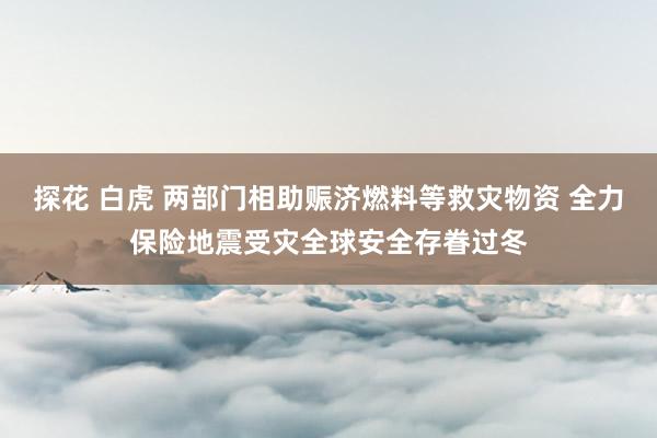 探花 白虎 两部门相助赈济燃料等救灾物资 全力保险地震受灾全球安全存眷过冬